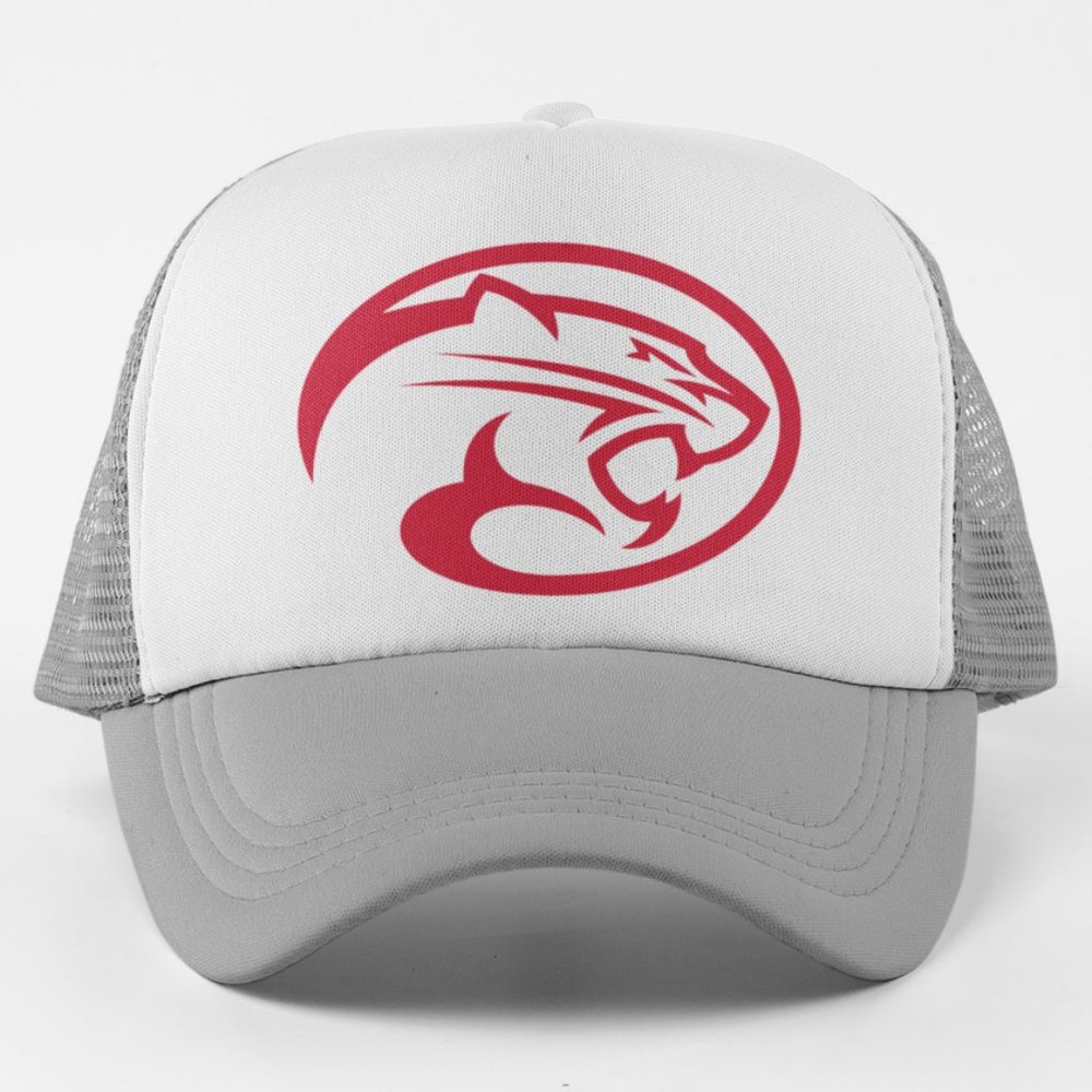 NEW Houston Cougars Alt Head Oval Logo Foam Trucker Mesh Snapback Hat WHITE GREY